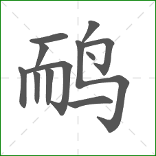鸸的笔顺