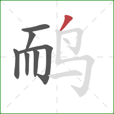 鸸的笔顺第7画：撇