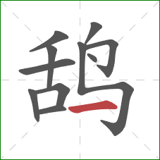 鸹的笔顺第11画：横