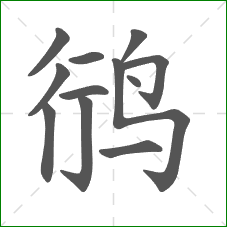 鸻的笔顺