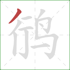 鸻的笔顺第1画：撇