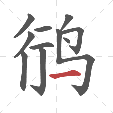 鸻的笔顺第11画：横