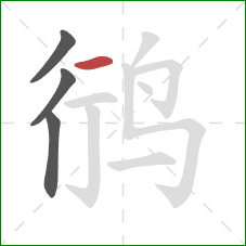 鸻的笔顺第4画：横