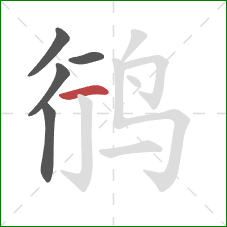 鸻的笔顺第5画：横