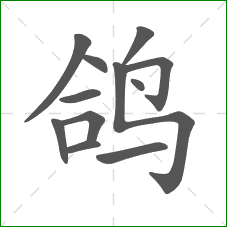 鸽的笔顺