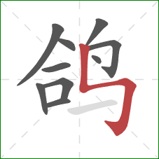 鸽的笔顺第10画：竖折折钩