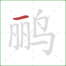 鹂的笔顺第1画：横