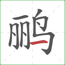 鹂的笔顺第12画：横