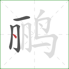 鹂的笔顺第4画：点