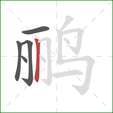鹂的笔顺第5画：竖