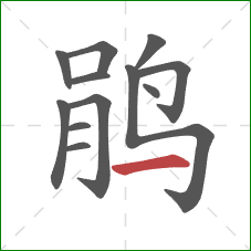 鹃的笔顺第12画：横