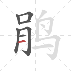 鹃的笔顺第7画：横