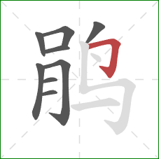 鹃的笔顺第9画：横折钩