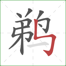 鹈的笔顺第11画：竖折折钩