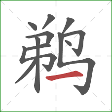 鹈的笔顺第12画：横