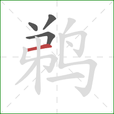 鹈的笔顺第4画：横