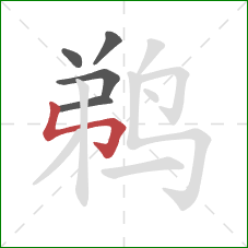 鹈的笔顺第5画：竖折折钩