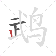 鹉的笔顺第5画:竖 鹉的笔顺第5画:竖