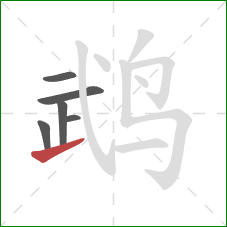 鹉的笔顺第6画:提 鹉的笔顺第6画:提
