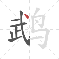 鹉的笔顺第8画:点 鹉的笔顺第8画:点