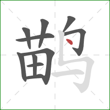 鹋的笔顺第11画：点