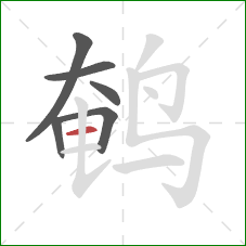 鹌的笔顺第6画：横