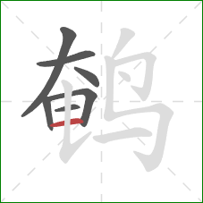鹌的笔顺第7画：横