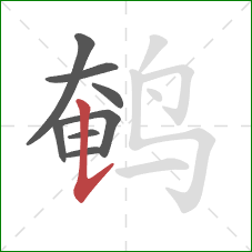 鹌的笔顺第8画：竖提
