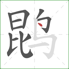鹍的笔顺第11画：点