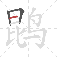 鹍的笔顺第3画：横