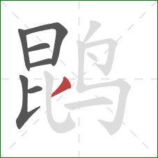 鹍的笔顺第7画：横
