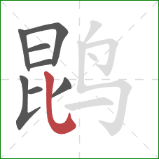鹍的笔顺第8画：竖提