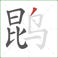 鹍的笔顺第9画：撇