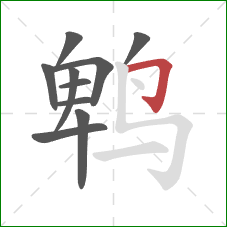 鹎的笔顺第10画：横折钩