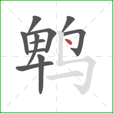 鹎的笔顺第11画：点