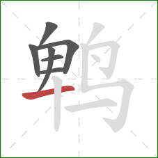 鹎的笔顺第7画：横