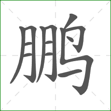 鹏的笔顺