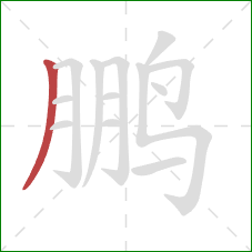 鹏的笔顺第1画：撇