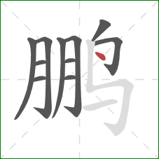 鹏的笔顺第11画：点