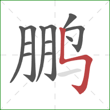 鹏的笔顺第12画：竖折折钩