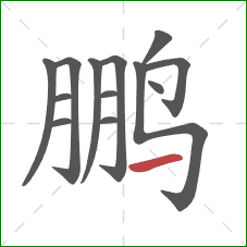 鹏的笔顺第13画：横