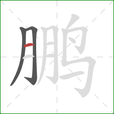 鹏的笔顺第3画：横