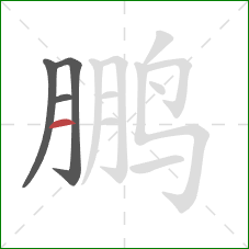 鹏的笔顺第4画：横