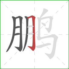 鹏的笔顺第6画：横折钩