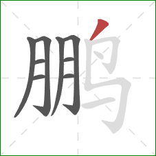 鹏的笔顺第9画：撇