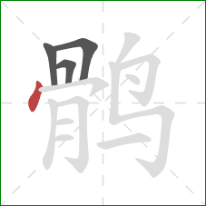 鹘的笔顺第4画：点