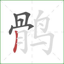 鹘的笔顺第6画：竖