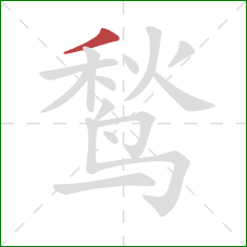 鹙的笔顺第1画:撇 鹙的笔顺第1画:撇