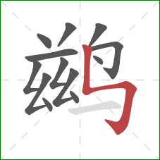 鹚的笔顺第13画：竖折折钩