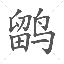 鹠的笔顺 鹠的笔顺